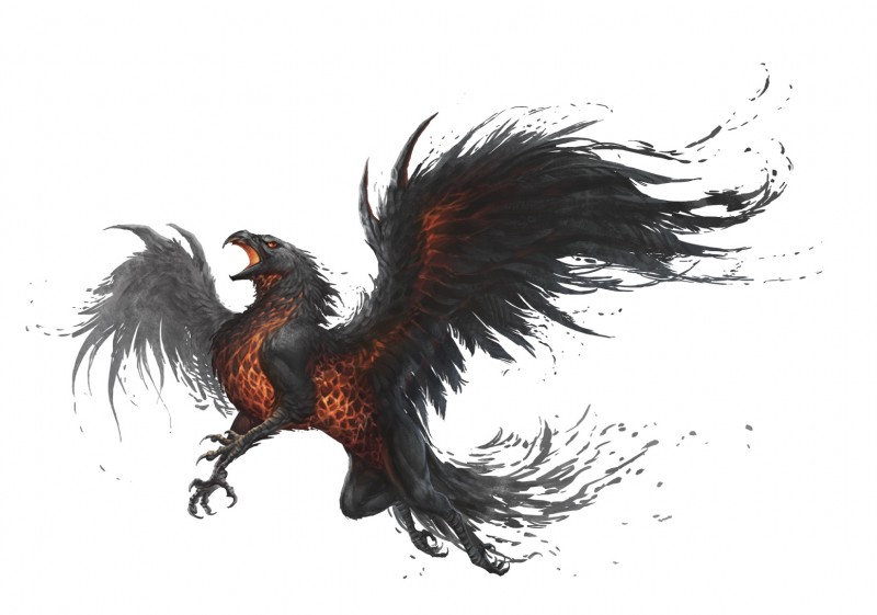 4_toes ambiguous_gender anisodactyl avian_feet beak black_beak black_body black_feathers feathered_wings feathers feet feral quadruped simple_background solo toes white_background wings pechschwinge mythology avian gryphon mythological_avian mythological_creature digital_media_(artwork) hi_res