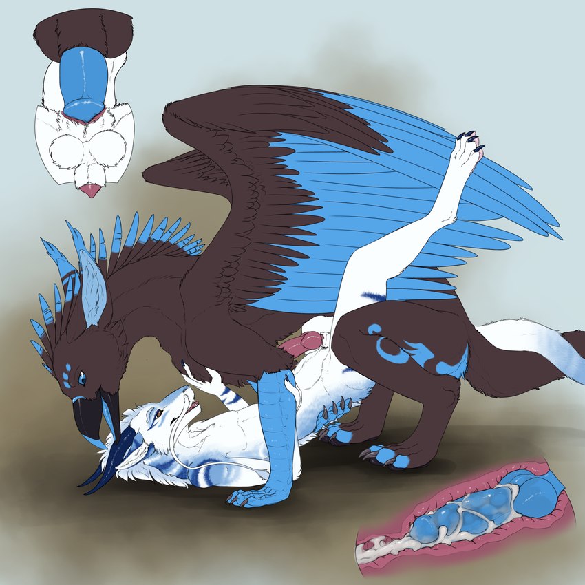 anal anal_knotting anal_penetration animal_genitalia anthro anthro_on_feral anthro_penetrated anus balls bestiality blue_body blue_fur blue_markings bodily_fluids cum cum_in_ass cum_inside cutaway digitigrade duo erection feathered_wings feathers feral feral_penetrating feral_penetrating_anthro fur genital_fluids genitals internal internal_anal knot knotting male male/male male_penetrated male_penetrating male_penetrating_male markings penetration penile penile_penetration penis penis_in_ass pink_anus pink_knot pink_penis quadruped sex sheath size_difference tail wings ennismore mythology lysander wolfie-feral avian dragon furred_dragon furred_scalie gryphon mythological_avian mythological_creature mythological_scalie scalie 1:1 hi_res