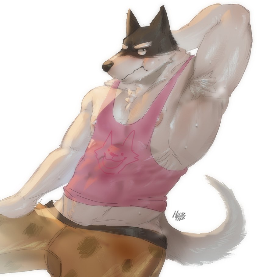 anthro armpit_hair black_body black_fur body_hair bulge clothed clothing fur male muscular muscular_anthro muscular_male musk nipple_outline nipple_slip nipples pink_clothing pink_nipples pink_topwear shirt solo tank_top topwear white_body white_fur huzzhuz undertale undertale_(series) doggo_(undertale) canid canine canis domestic_dog mammal digital_media_(artwork) hi_res