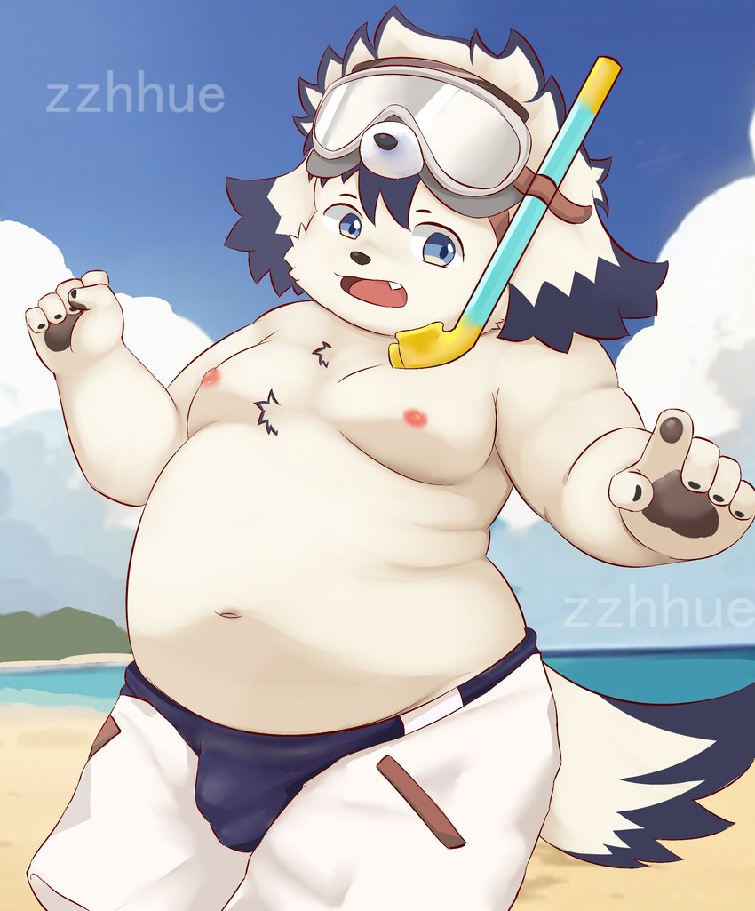 anthro beach belly blue_eyes bottomwear bulge clothing eyewear floppy_ears fur goggles male moobs navel nipples overweight overweight_male pawpads seaside shorts snorkel solo white_body white_fur zzhue tamacolle tajima_(tamacolle) canid canine canis domestic_dog mammal absurd_res hi_res