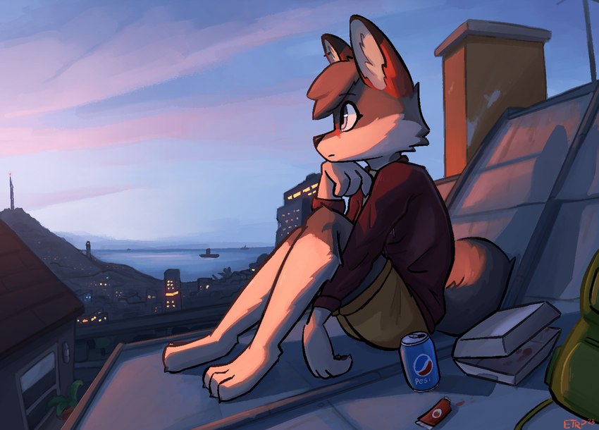 ambiguous_gender anthro backpack barefoot beverage_can building city clothed clothing cloud detailed_background feet food fully_clothed fur high_place ketchup outside rooftop sea sky solo water enginetrap pepsi ash_(enginetrap) canid canine fox mammal sechuran_fox south_american_fox 2023 digital_media_(artwork) trans_(lore) trans_woman_(lore)