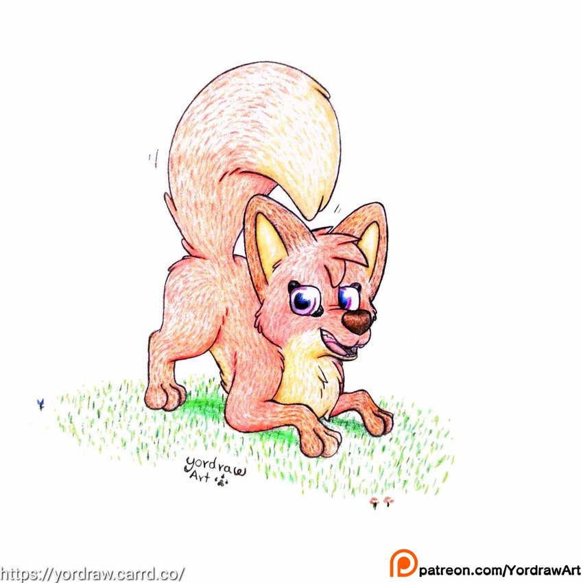 3_toes ass_up brown_ears brown_paws butt feet female feral flower fur grass looking_at_viewer patreon_logo patreon_username plant presenting presenting_hindquarters purple_eyes raised_tail red_body red_fur smile smiling_at_viewer solo spread_legs spreading tail tail_motion tailwag text toes tongue yordraw jungledyret_hugo patreon rita_(jungledyret) canid canine fox mammal red_fox true_fox 1:1 hi_res traditional_media_(artwork) url