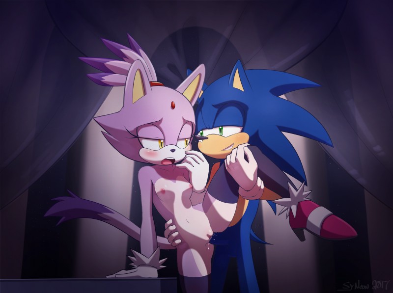 blaze the cat and sonic the hedgehog (sonic the hedgehog (series) and etc) created by sy noon
