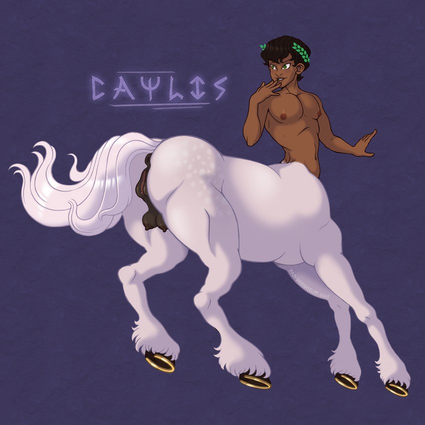 abs andromorph anus brown_pussy flirting genitals gold_(metal) gold_jewelry green_eyes intersex jewelry laurel_wreath navel nipples pecs pussy solo teats udders frankly-art european_mythology greek_mythology mythology caylis_(frankly-art) centaur equid equid_taur equine equine_taur humanoid_taur mammal mammal_taur taur 2025 hi_res