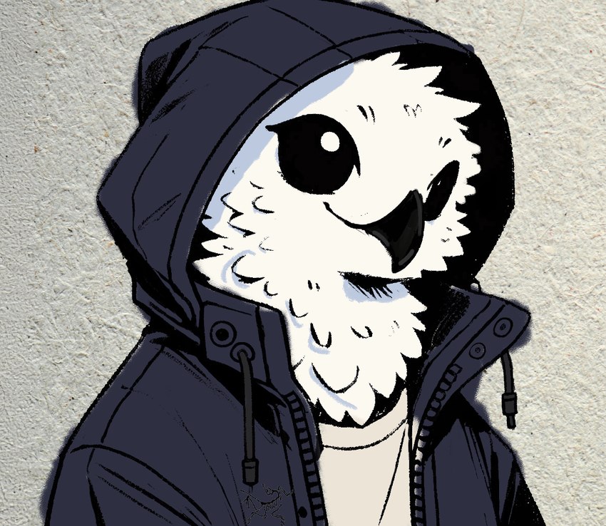 anthro black_eyes clothing hooded_jacket jacket male paper_background shirt solo topwear tenfold avian bird 2024 colored flat_colors sketch