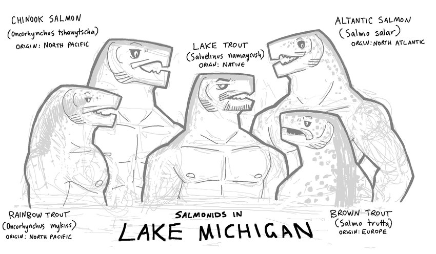 anthro beard facial_hair group male muscular nipples open_mouth size_difference text snarkysardine atlantic_salmon brown_trout chinook_salmon fish lake_trout marine rainbow_trout salmon salmonid_(fish) trout 2024 english_text hi_res monochrome sketch