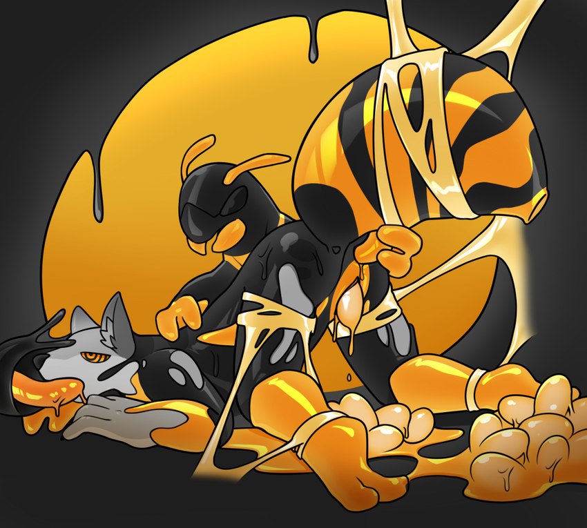 anthro black_background black_body egg fur goo_transformation grey_body grey_fur hypnotic_eyes male orange_body oviposition simple_background transformation hacony arthropod bee canid canine canis hymenopteran insect mammal wolf 2020