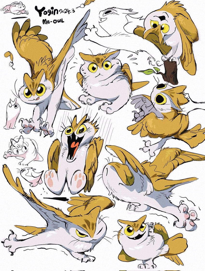 ambiguous_gender claws duo feathered_wings feathers feral multiple_poses pose simple_background solo_focus white_background wings yogin avian bird domestic_cat felid feline felis hybrid mammal owl 2024 dated hi_res