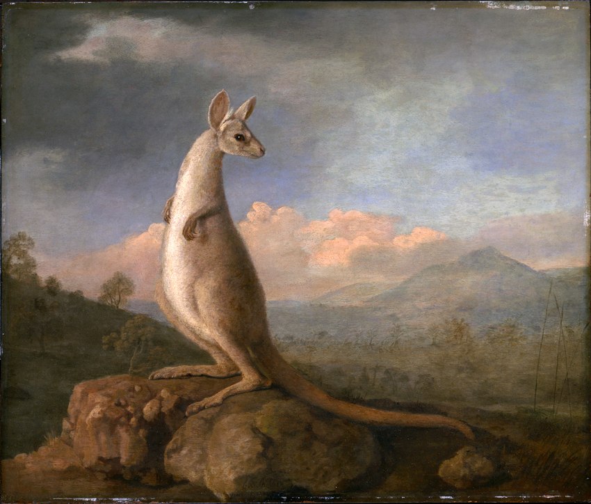 created by george stubbs