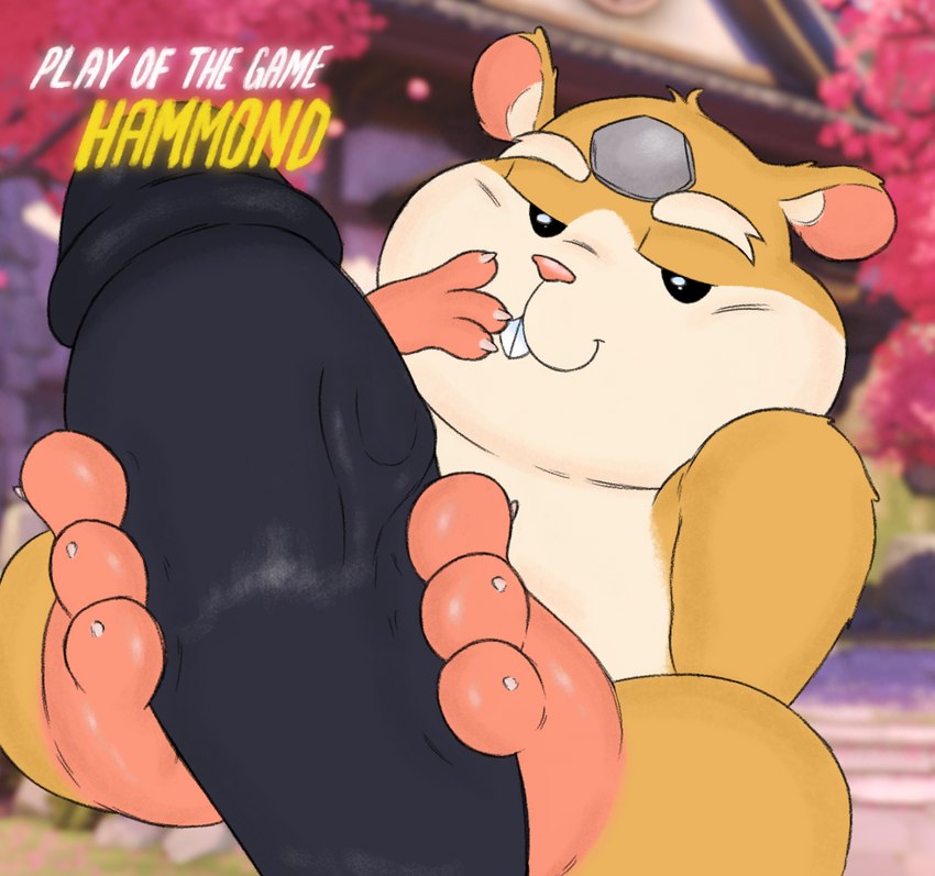 anthro buckteeth claws duo eyebrows feet foot_fetish foot_focus foot_play footjob fur genitals hand_on_mouth looking_at_viewer male male/male penis pink_nose sex size_difference smile solo_focus tan_body tan_fur teasing teeth toes filthyopossum blizzard_entertainment overwatch hammond_(overwatch) winston_(overwatch) cricetid hamster mammal rodent hi_res