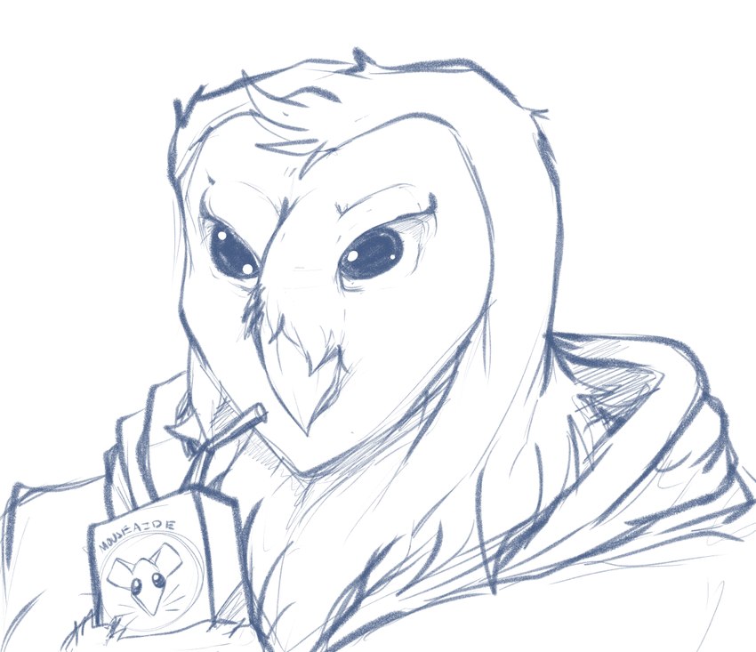 ambiguous_gender anthro beak beverage clothing drinking_straw holding_beverage holding_juice_box holding_object hoodie juice_box looking_forward solo topwear pandottermon avian bird owl black_and_white blue_and_white monochrome sketch