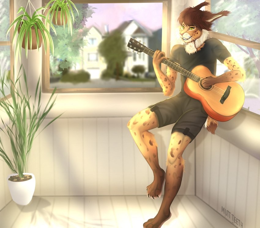 acoustic_guitar anthro bottomwear clothed clothed_anthro clothed_male clothing fur guitar holding_guitar holding_musical_instrument holding_object male male_anthro musical_instrument plant plant_pot plucked_string_instrument potted_plant shirt shorts smile solo string_instrument topwear window yellow_eyes mutt_teeth aidan_(sryer) eurasian_lynx felid feline lynx mammal 2022