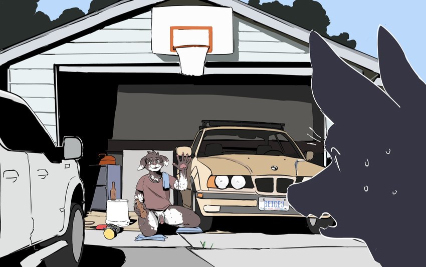 alcohol anthro balls basketball_hoop beer beer_bottle beverage bottle clothed clothing container duo foreground_silhouette fur garage genitals gesture humanoid_genitalia male markings outside pantsless penis shadow shirt spots spotted_body spotted_fur topwear waving microtransac bmw bmw_e34 bird_dog canid canine canis domestic_dog hunting_dog mammal hi_res