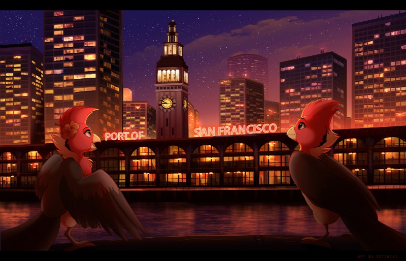 beak black_bars detailed_background duo feathered_wings feathers feral hair night outside red_eyes red_hair san_francisco sky smile standing star starry_sky wings kitchiki avian bird 2018 digital_media_(artwork)