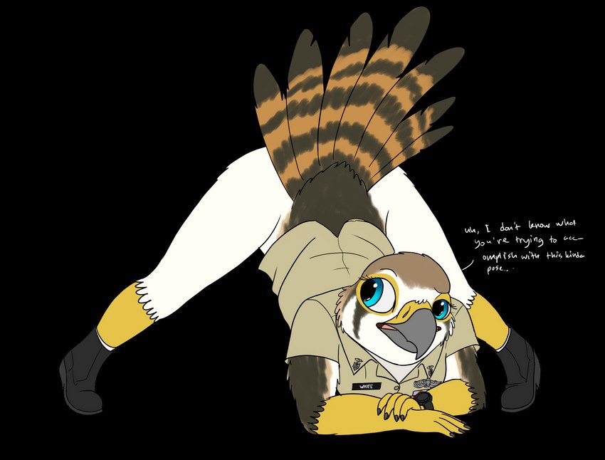 anthro ass_up boots bottomless breasts clothed clothing female footwear jack-o'_pose military military_clothing military_uniform navy partially_clothed pose raised_tail shoes solo spread_legs spreading tail uniform fish_birb u.s._navy evy_(fish_birb) american_kestrel avian bird falcon falconid kestrel alpha_channel hi_res pinup