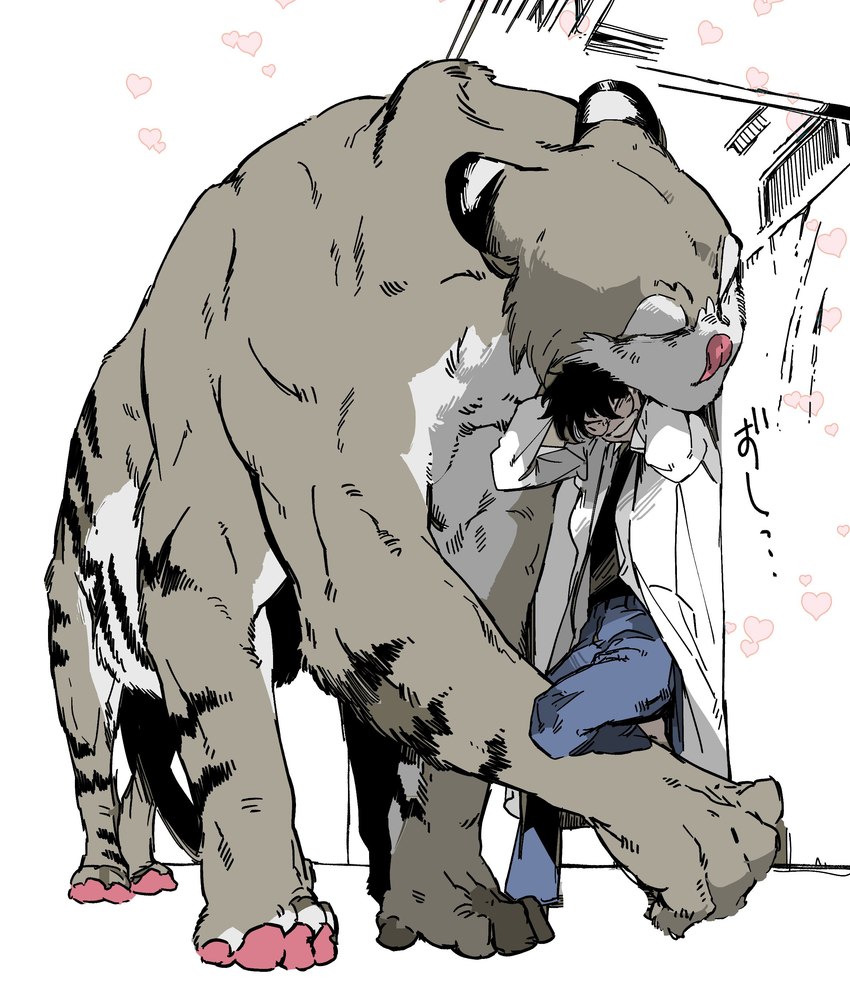 black_stripes duo grey_body hug male multi_limb muscular muscular_male size_difference stripes text ryo_sumiyoshi baoshi_(ryo_sumiyoshi) tajima_(ryo_sumiyoshi) felid felid_taur human mammal mammal_taur pantherine pantherine_taur taur tiger tiger_taur absurd_res hi_res japanese_text