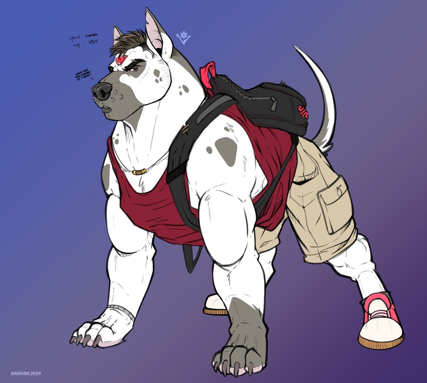 ball basketball_(ball) clothed clothing feral jock male mongrel_dog solo narram tanner_(narram) canid canine canis canis_species(narram) domestic_dog mammal absurd_res hi_res