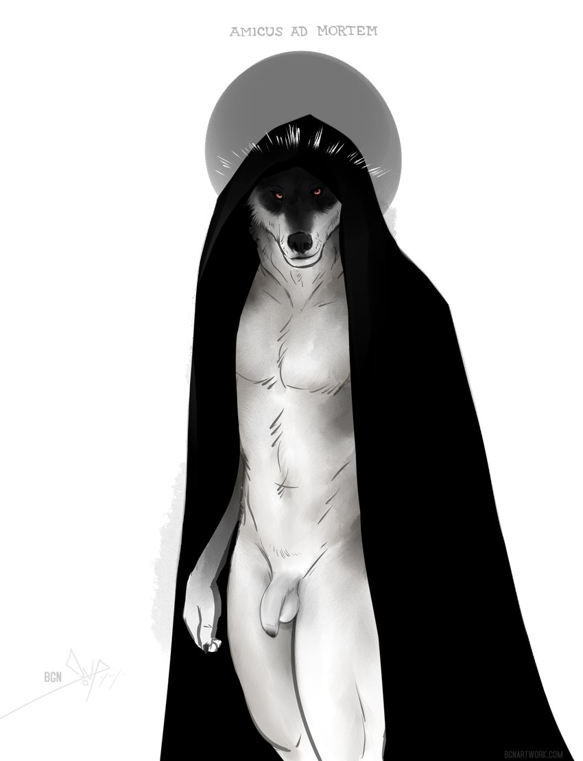 anthro balls black_cloak black_clothing cloak clothing fabric facial_markings flaccid foreskin fur genitals halo head_markings humanoid_genitalia humanoid_penis looking_at_viewer male markings mask_(marking) nude penis red_eyes simple_background slim slim_male solo standing white_background white_body white_fur bgn dreamworks puss_in_boots_(franchise) death_(puss_in_boots) canid canine canis mammal wolf 2023 hi_res