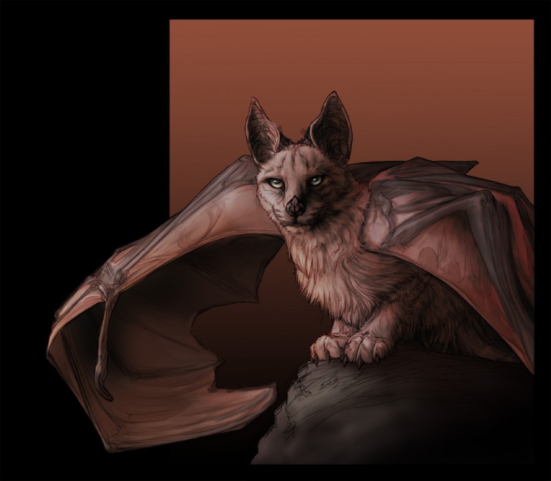 ambiguous_gender bat_ears bat_nose brown_body brown_fur claws crouching feral fur gradient_background looking_at_viewer membrane_(anatomy) membranous_wings rock simple_background solo spread_wings wing_claws wings yellow_eyes novawuff bat domestic_cat felid feline felis hybrid mammal 2013 portrait