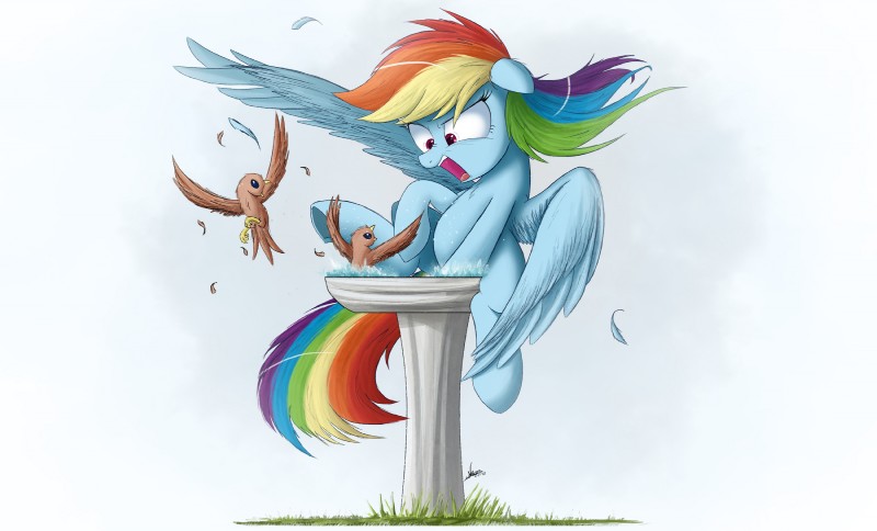 rainbow dash (friendship is magic and etc) created by ncmares