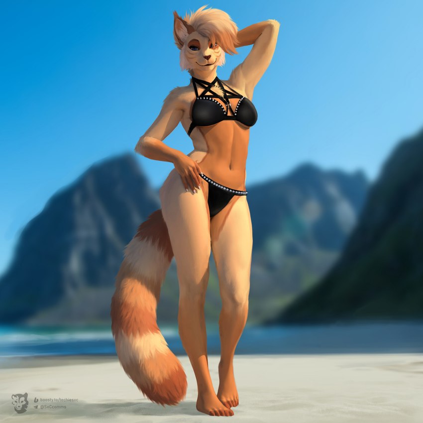 anthro beach bikini blurred_background clothing cocked_hip female fluffy fluffy_tail hair mountain sand sea solo swimwear tail two-piece_swimsuit water techiesxc pumzie_(character) domestic_cat felid feline felis mammal 1:1 digital_media_(artwork) hi_res