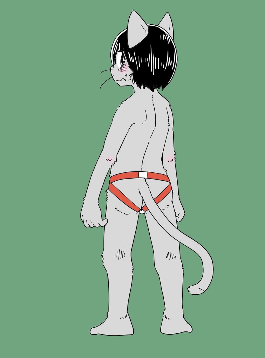 5_fingers anthro black_hair blush bodily_fluids butt clothed clothing embarrassed fingers fur green_background grey_body grey_fur hair jockstrap jockstrap_only looking_at_viewer looking_back looking_back_at_viewer male simple_background solo sweat tail topless underwear underwear_only whiskers young young_anthro young_male akimo_(artist) felid mammal 2020 hi_res