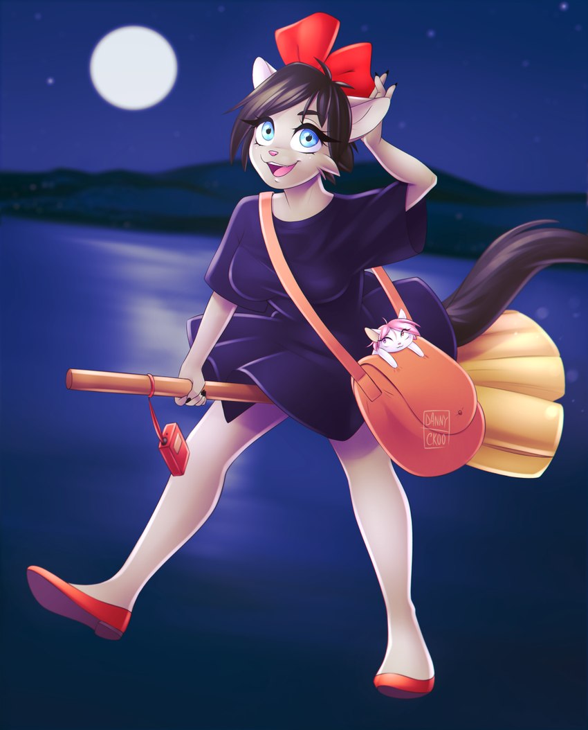 anthro black_hair blue_eyes breasts broom broom_riding cleaning_tool clothing cosplay duo female flying footwear grey_body hair moon night outside pink_hair ribbons shoes shoulder_bag size_difference smile solo_focus star water white_body dannyckoo ghibli kiki's_delivery_service candy_(dannyckoo) chikachi kiki_(kds) domestic_cat felid feline felis mammal 2018 hi_res