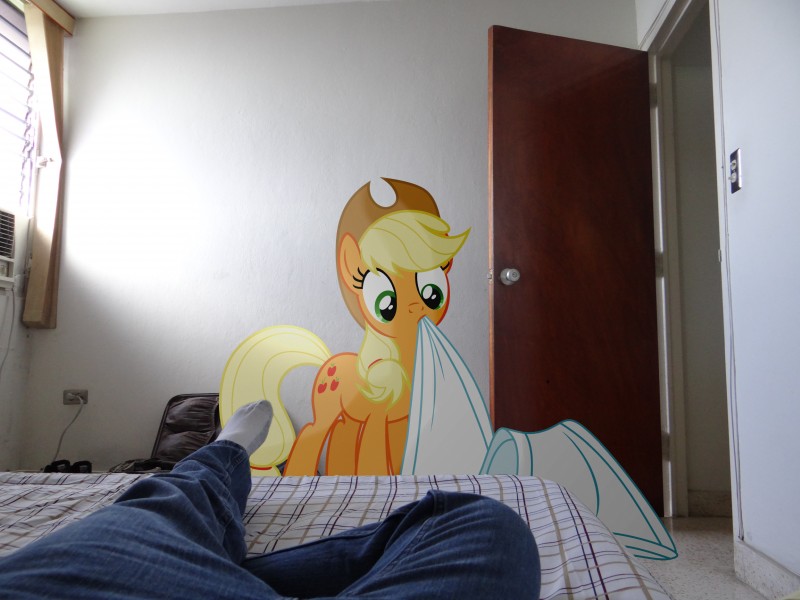 bed bedding blanket blonde_hair bottomwear clothing cowboy_hat cutie_mark door duo female feral footwear furniture green_eyes hair hat headgear headwear legwear pants ponies_in_real_life quadruped real socks solo_focus tail window emedina13 friendship_is_magic hasbro my_little_pony applejack_(mlp) earth_pony equid equine horse human mammal pony 2013 4:3 absurd_res hi_res