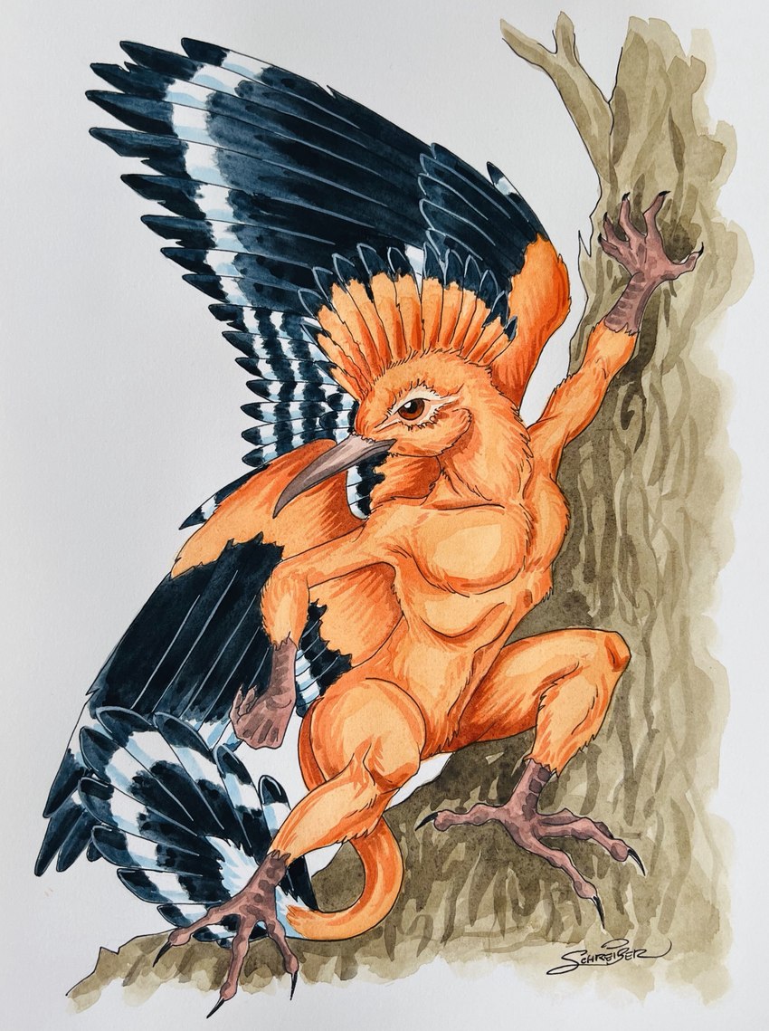 anthro black_body black_feathers brown_body brown_eyes claws feathered_wings feathers featureless_crotch male nude orange_body orange_feathers plant simple_background solo tree white_background white_body white_feathers wings sandy_schreiber mythology avian bird bucerotiform gryphon hoopoe mythological_avian mythological_creature 2023 hi_res