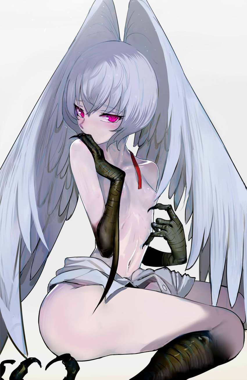 breasts butt feathered_wings feathers feet female glistening glistening_eyes grey_body grey_feathers grey_hair hair looking_at_viewer navel nipples pink_eyes simple_background small_breasts solo talons toes wings walzrj devilman_(series) european_mythology greek_mythology mythology sirène_(devilman) avian demon harpy humanoid mythological_avian mythological_creature winged_humanoid hi_res