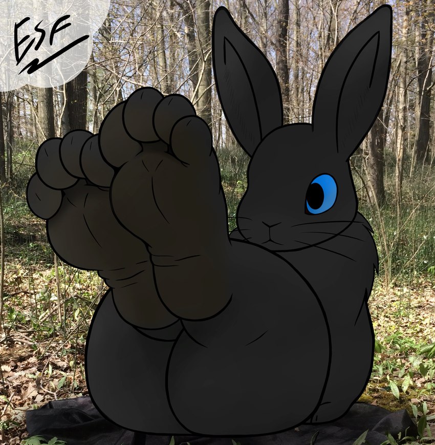 4_toes ambiguous_gender anthro barefoot big_butt black_body black_eyes black_fur black_nose blue_sclera brown_feet butt casual_nudity claws countershade_feet countershading curvy_figure feet foot_fetish foot_focus fur hindpaw humanoid_feet legs_up long_ears looking_at_foot nude paws photo_background plantigrade presenting presenting_hindquarters rear_view short_stack sitting soles solo text thick_thighs toe_claws toes whiskers wide_hips wrinkled_feet wrinkles electricsnowfox lagomorph leporid mammal rabbit absurd_res digital_media_(artwork) english_text hi_res photography_(artwork)