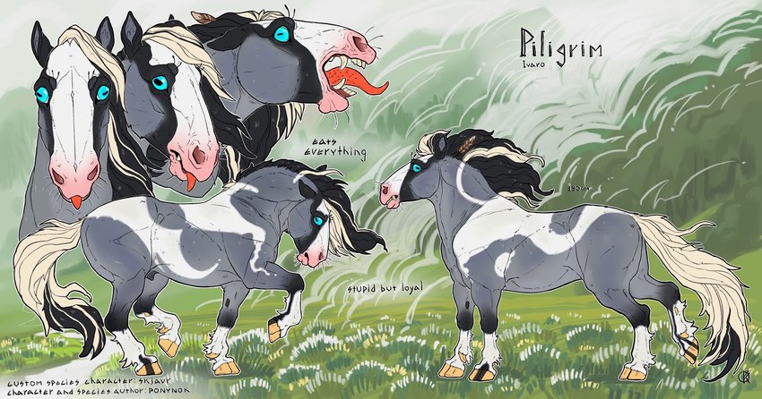 black_hair blonde_hair blue_eyes feral fog grassland grey_body hair hooves male markings open_mouth solo text tongue tongue_out white_markings ponynok piligrim_(ponynok) equid equine horse mammal skjavr_(ponynok) digital_drawing_(artwork) digital_media_(artwork) english_text hi_res model_sheet