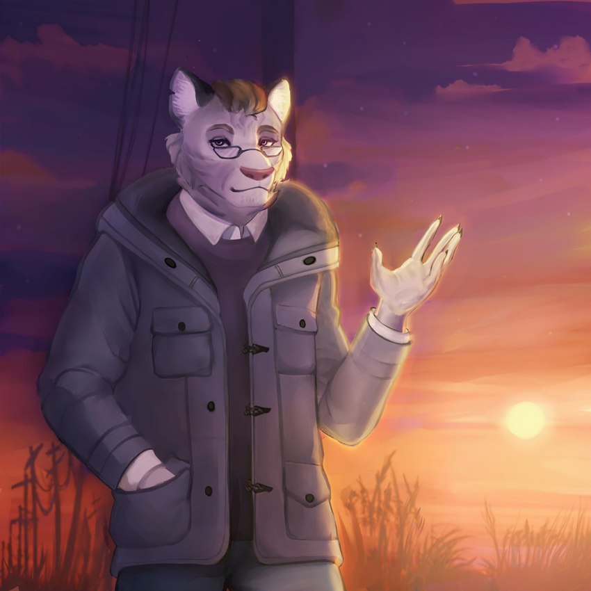 anthro black_clothing black_coat black_topwear clothing coat detailed_background fur grey_body grey_fur male solo sunset topwear moonpurr felid feline mammal pantherine tiger 1:1 colored hi_res shaded