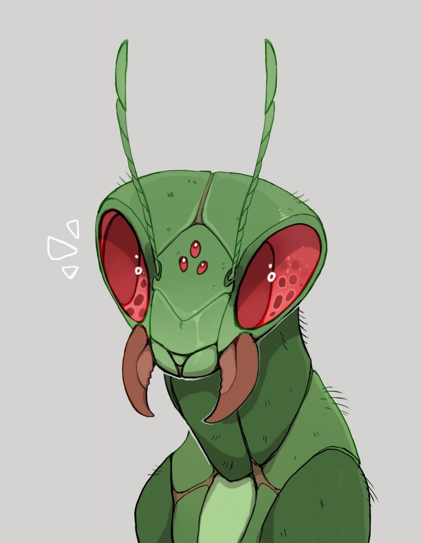 ambiguous_gender antennae_(anatomy) anthro green_body grey_background red_eyes simple_background solo bluekiwi101 arthropod insect mantis 2020 bust_portrait digital_media_(artwork) hi_res portrait