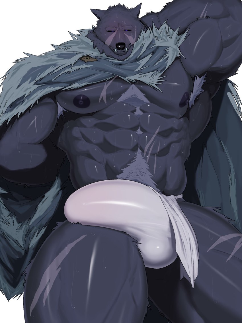 abs anthro armpit_hair big_bulge big_muscles big_penis blep body_hair bottomwear bulge cape clothed clothing detailed_bulge facial_scar fangs fur fur_cape fur_clothing genital_outline genitals grey_body grey_fur loincloth male muscular muscular_anthro muscular_arms muscular_legs muscular_male nipples pecs penis penis_outline purple_eyes raised_arm scar serratus sideways-pointing_bulge solo teeth tongue tongue_out underwear mymu666 elden_ring fromsoftware blaidd_(elden_ring) canid canine canis mammal wolf hi_res