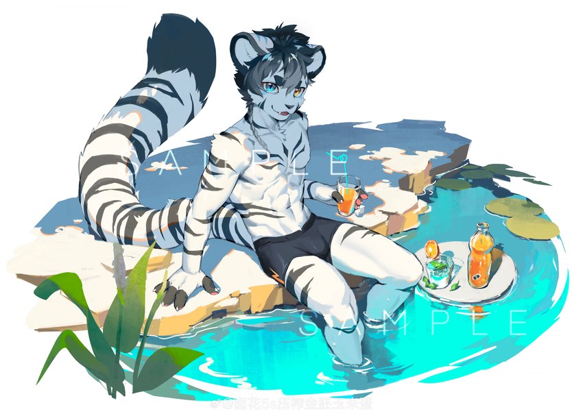 anthro athletic athletic_anthro athletic_male black_body black_fur blue_eyes clothing container cup fur hair heterochromia holding_container holding_cup holding_object juice_(beverage) looking_at_viewer male sitting solo striped_body striped_fur stripes swimwear tail text water weibo_logo white_body white_fur yellow_eyes egg29991828 weibo felid mammal pantherine tiger 2024 absurd_res distracting_watermark hi_res watermark