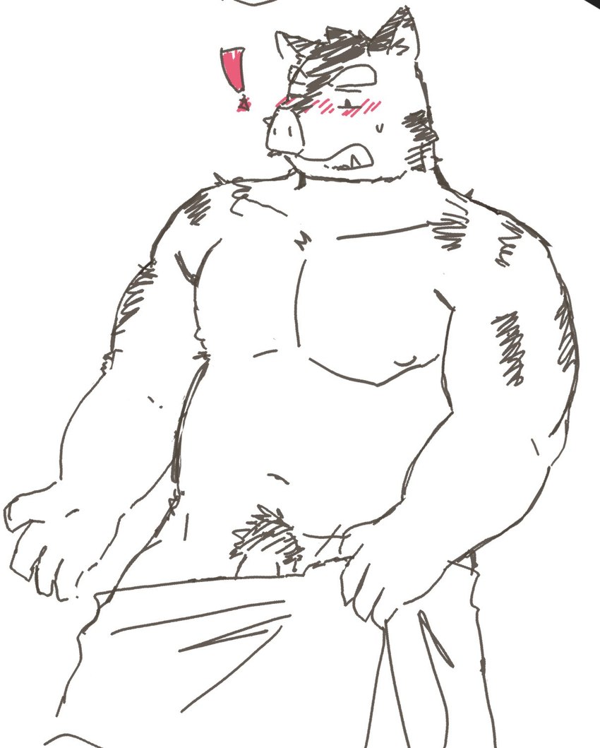 anthro blush exclamation_point genitals kemono male moobs musclegut muscular navel nipples penis pubes simple_background slightly_chubby solo towel white_background youzo3322 knights_college hermann_(knights_college) mammal suid suina sus_(pig) wild_boar 2023 hi_res sketch