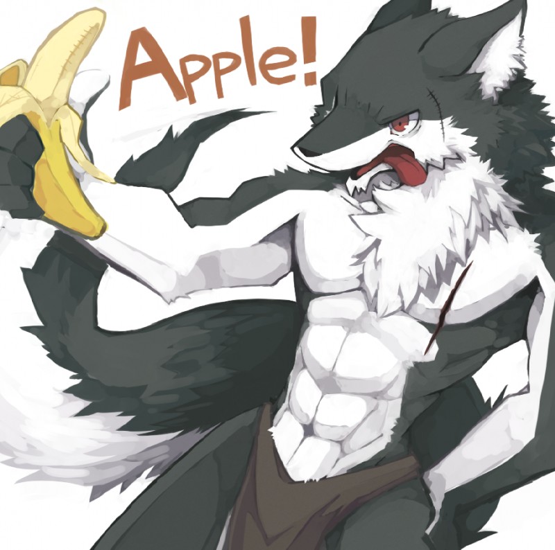 abs anthro athletic banana biceps biped black_body black_fur bottomwear chest_tuft clothed clothing doing_it_wrong exclamation_point facial_scar food fruit fur grey_body grey_fur humor loincloth male multicolored_body multicolored_fur muscular muscular_anthro open_mouth pecs plant pose red_eyes scar simple_background solo standing text tongue tongue_out topless tuft two_tone_body two_tone_fur underwear what white_background white_body white_fur shin_(artist) canid canine canis mammal wolf digital_media_(artwork) english_text