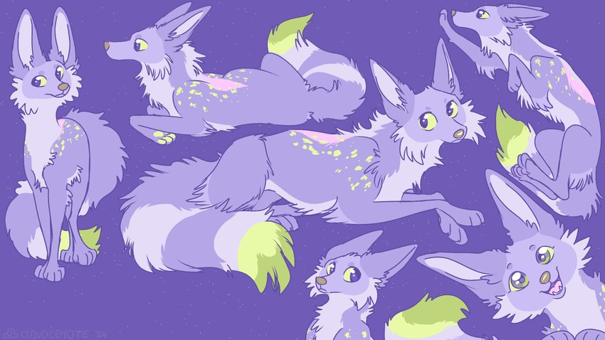 ambiguous_gender cheek_tuft countershade_torso countershading dipstick_tail facial_tuft feral fur green_eyes green_sclera green_spots green_tail_tip grey_nose looking_at_viewer lying markings multiple_poses on_front open_mouth pink_markings pose purple_background purple_body purple_fur simple_background slim_ambiguous slim_feral smile solo spots spotted_body spotted_fur standing striped_markings striped_tail stripes tail tail_markings teeth tuft kryotea canid canine mammal 16:9 hi_res model_sheet widescreen