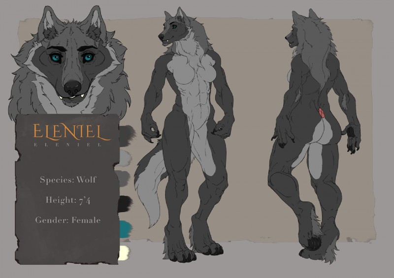 abs anthro barefoot blue_eyes breasts butt claws featureless_breasts feet female hindpaw muscular muscular_anthro muscular_female pawpads paws solo text toe_claws toes conditional_dnp mithril07 eleniel canid canine canis mammal wolf english_text model_sheet