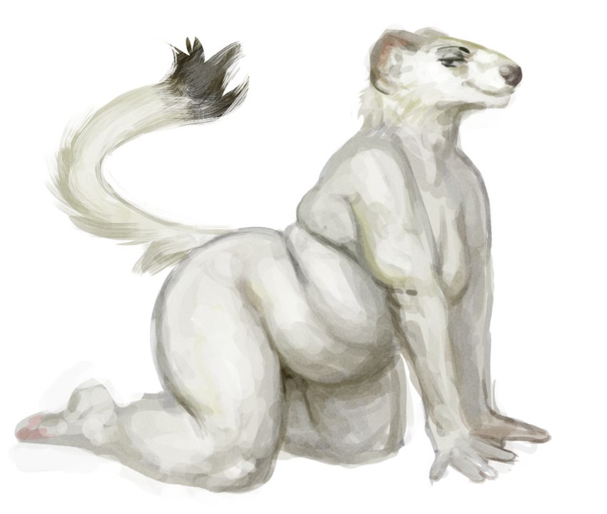 all_fours anthro belly female fur nude overweight overweight_anthro overweight_female side_view simple_background smile solo tail white_background white_body white_fur cettus maren_sommer mammal mustelid musteline stoat true_musteline weasel 2023