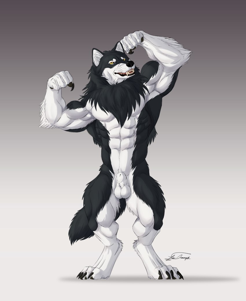 4_toes 5_fingers abs animal_genitalia anthro arm_tuft balls biceps big_muscles black_body black_claws black_fur black_lips black_nose black_pawpads black_sclera broad_shoulders calf_muscles canine_genitalia canine_sheath cheek_tuft claws digitigrade elbow_tuft facial_tuft fangs feet finger_claws fingers fist flexing flexing_bicep flexing_both_biceps fluffy fluffy_mane fluffy_tail fur genitals gradient_background inner_ear_fluff lips looking_at_viewer male mane multicolored_body multicolored_fur muscular muscular_anthro muscular_male neck_tuft nude pawpads paws pecs pose serratus sharp_teeth sheath simple_background smile solo standing tail teeth thick_thighs toe_claws toes tongue triceps tuft two_tone_body two_tone_fur whisker_spots whiskers white_body white_fur yellow_eyes thetigress mythology silverfoxwolf canid canine mammal mythological_canine mythological_creature werecanid werecanine werecreature werewolf 2024 hi_res shaded signature