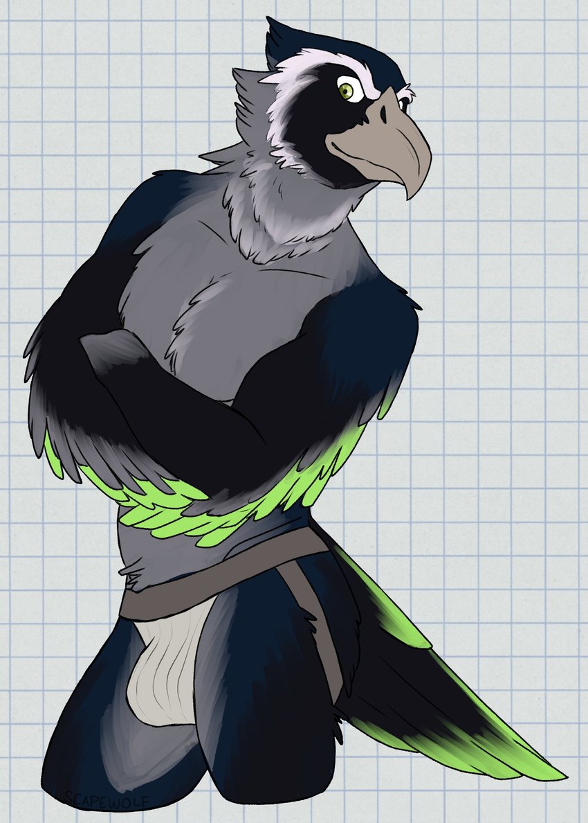 anthro athletic beak biped blue_body blue_feathers bulge checkered checkered_background clothed clothing crossed_arms feathers green_body green_eyes green_feathers grey_body grey_feathers jockstrap looking_at_viewer male male_anthro mascot multicolored_body partially_clothed partially_clothed_male pattern_background simple_background solo standing underwear underwear_only white_background white_body white_clothing white_feathers white_sclera white_underwear unsafescapewolf nfl seattle_seahawks blitz_the_seahawk accipitrid accipitriform avian bird seahawk 2024 digital_drawing_(artwork) digital_media_(artwork) hi_res portrait three-quarter_portrait