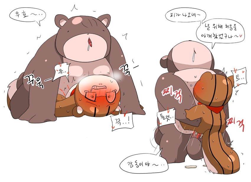 anthro balls big_balls blush bodily_fluids duo female forced genitals male male/female overweight overweight_male rape simple_background speech_bubble sweat text meringue_(pixiv) bear mammal rodent sciurid tree_squirrel korean_text