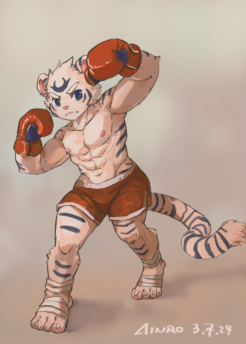 abs anthro biceps blue_eyes bottomwear boxing_gloves clothing fur hair handwear looking_at_viewer male muscular muscular_anthro muscular_male nipples pecs pose shirtless_male shorts simple_background solo standing striped_body striped_fur stripes white_body white_fur ainro elysium_above guang_yuan felid mammal pantherine tiger hi_res