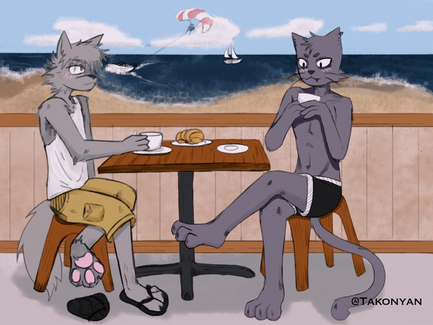 anthro beach beach_background beverage boat bread clothing coffee crossed_legs duo food footwear male male/male sandals shirt shoes sitting swimming_trunks swimwear tank_top topwear vehicle watercraft takonyan canid canine canis domestic_cat felid feline felis mammal wolf hi_res