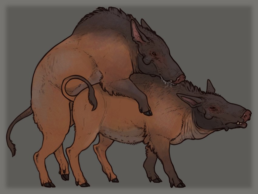 border duo female feral feral_on_feral grey_border intraspecies male male/female prehistoric sex technesaurus daeodon domestic_pig entelodont mammal prehistoric_species suid suine sus_(pig) wild_boar