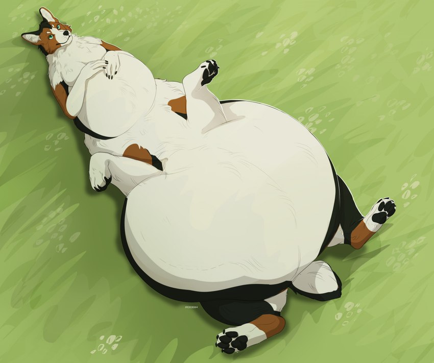 anthro anthro_pred belly big_belly black_body black_claws black_fur black_nose black_pawpads brown_body brown_fur claws female female_pred fur glistening glistening_eyes green_eyes huge_belly hyper hyper_belly lying mouth_closed multicolored_body multicolored_fur on_back pawpads quadruped solo vore white_body white_fur roobin canid canine canis domestic_dog mammal taur