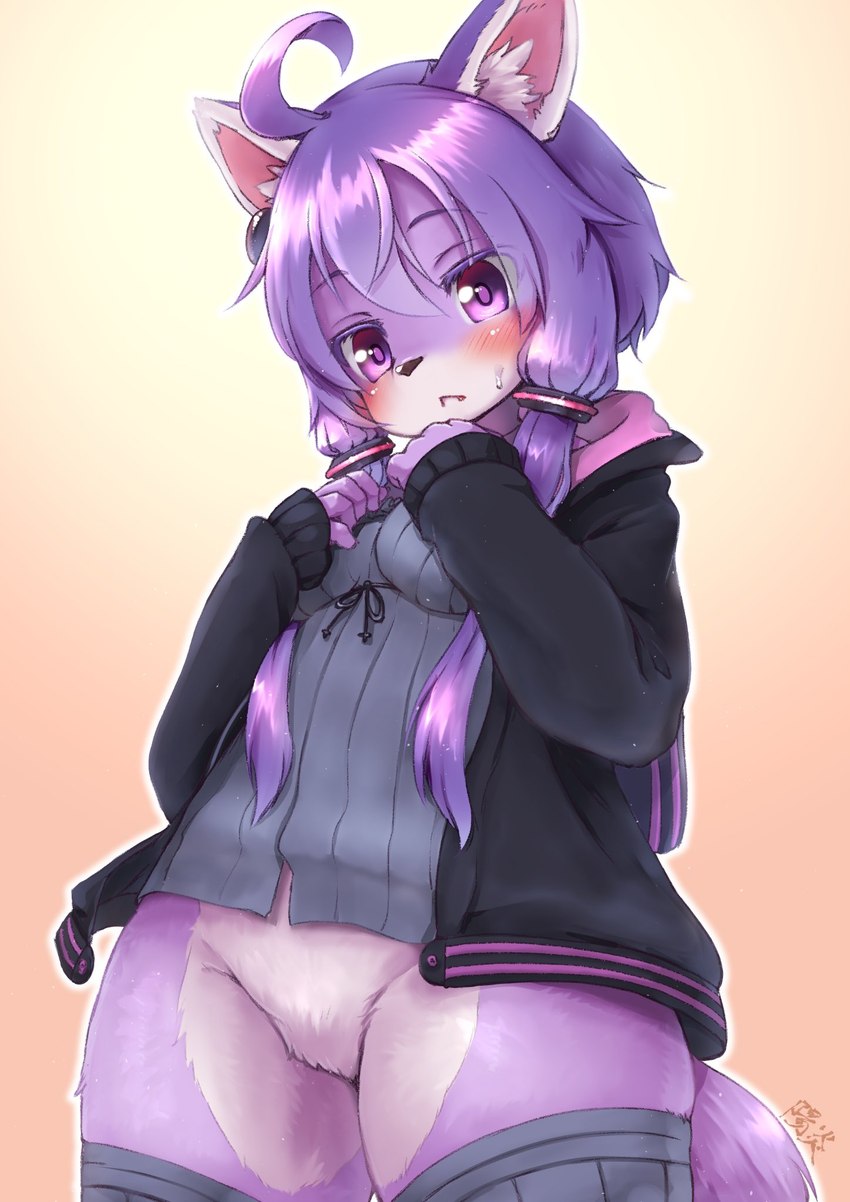 anthro black_clothing black_hoodie black_topwear bodily_fluids bottomless breasts clothed clothing featureless_crotch female fur hair hoodie kemono long_hair purple_body purple_eyes purple_fur purple_hair simple_background solo sweat topwear shiitakemeshi vocaloid yuzuki_yukari canid canine canis domestic_dog mammal hi_res