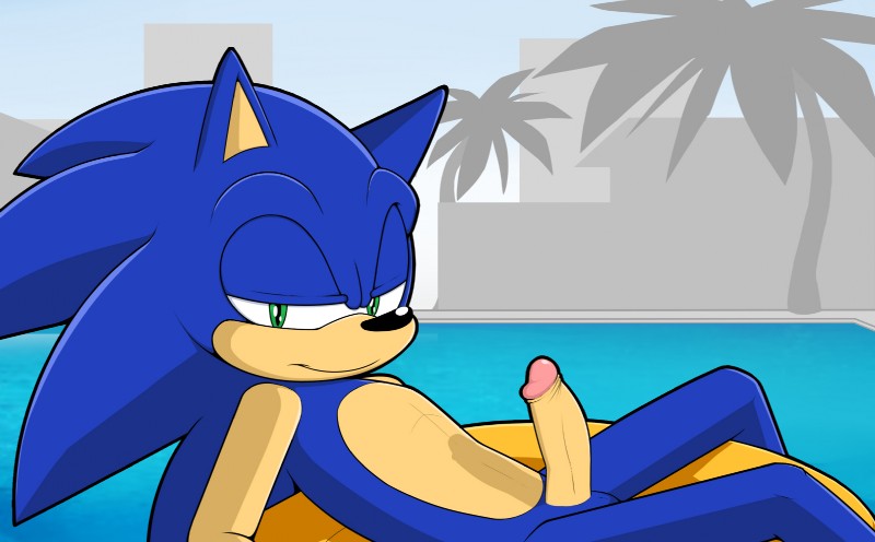 anthro balls blue_body erection floatie genitals green_eyes half-closed_eyes humanoid_genitalia humanoid_penis inflatable looking_at_viewer male narrowed_eyes nude penis pool_float solo swimming_pool water jammiez sega sonic_the_hedgehog_(series) sonic_the_hedgehog eulipotyphlan hedgehog mammal 2014 hi_res